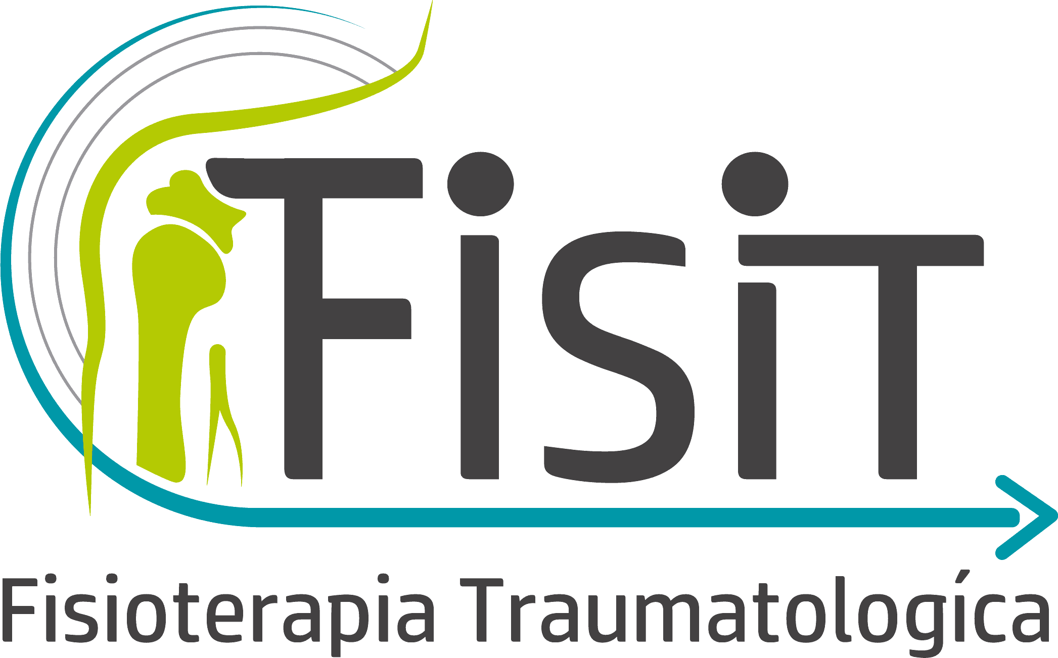 Fisit